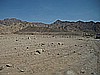 IMG_2551.JPG