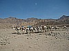 IMG_2552.JPG