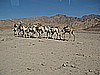 IMG_2553.JPG