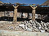 IMG_2556.JPG