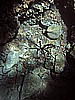 IMG_2563.JPG