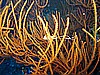 IMG_2573.JPG