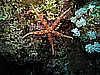 IMG_2578.JPG