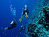 IMG_2588.JPG