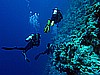 IMG_2589.JPG