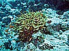 IMG_2595.JPG