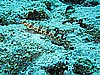 IMG_2596.JPG