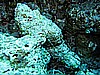 IMG_2597.JPG
