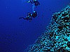 IMG_2600.JPG