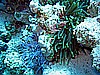 IMG_2603.JPG