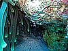 IMG_2605.JPG