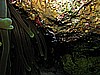 IMG_2606.JPG