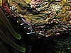 IMG_2607.JPG