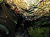 IMG_2608.JPG
