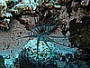 IMG_2610.JPG