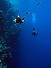 IMG_2613.JPG