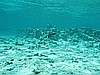IMG_2617.JPG