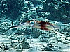 IMG_2618.JPG