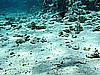 IMG_2619.JPG