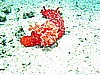 IMG_2620.JPG