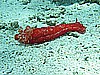 IMG_2622.JPG