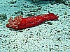 IMG_2623.JPG