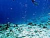 IMG_2643.JPG