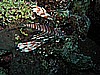 IMG_2648.JPG