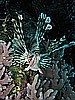 IMG_2649.JPG
