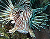 IMG_2649_1.jpg