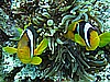 IMG_2650.JPG