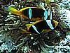IMG_2651.JPG
