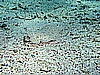 IMG_2655.JPG