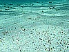 IMG_2656.JPG