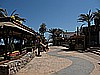 IMG_2678.JPG