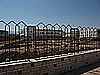 IMG_2683.JPG