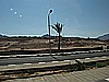 IMG_2693.JPG
