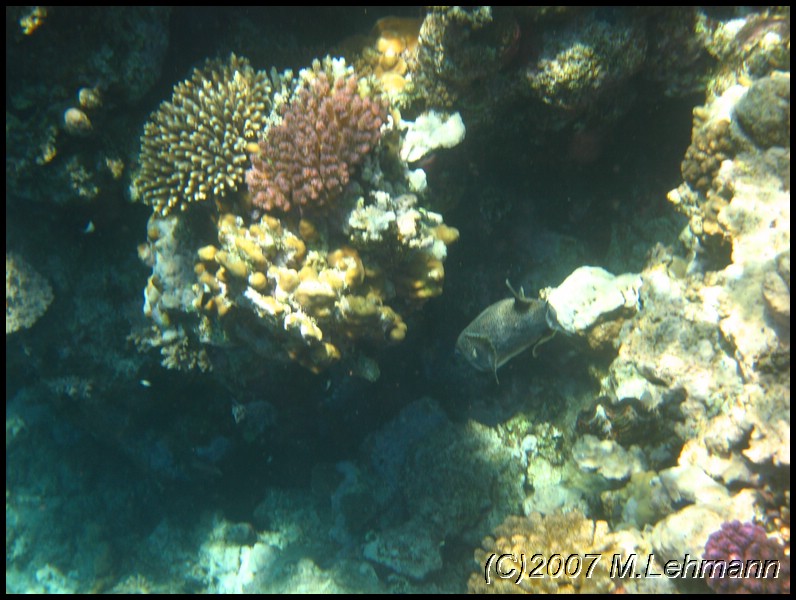 IMG_2728.JPG
