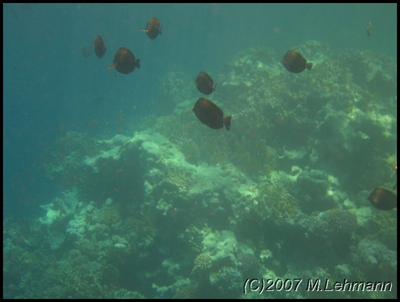 IMG_2731.JPG