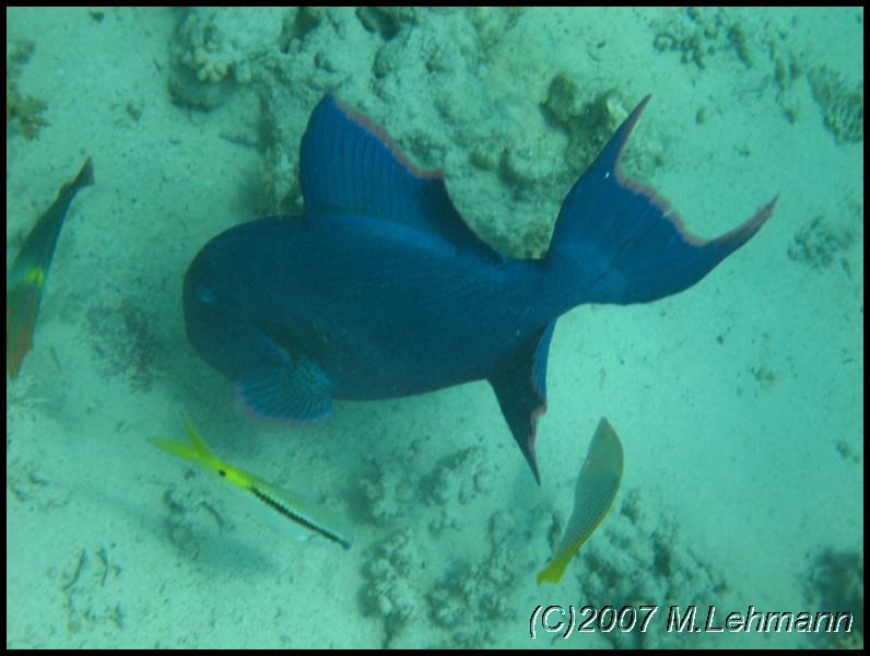 IMG_2733.JPG