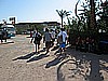IMG_2721.JPG