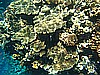IMG_2727.JPG