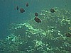 IMG_2731.JPG