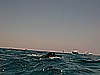 IMG_2734.JPG