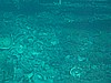 IMG_2735.JPG