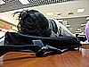 IMG_2753.JPG