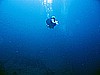 IMG_2809.JPG