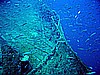IMG_2810.JPG
