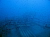 IMG_2820.JPG