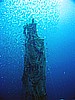 IMG_2832.JPG